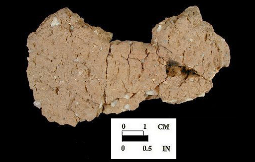 Wolfe Neck exterior surface of mended body sherds, from the Wessel site 18CA21/548.